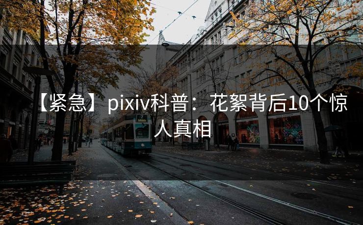 【紧急】pixiv科普：花絮背后10个惊人真相