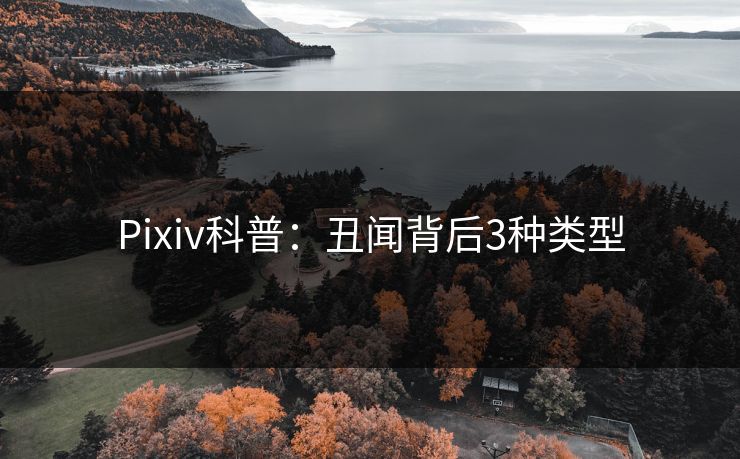Pixiv科普：丑闻背后3种类型