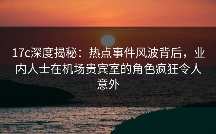 17c深度揭秘：热点事件风波背后，业内人士在机场贵宾室的角色疯狂令人意外